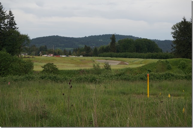 2014_05_15_Newberg-Dundee_Bypass_Looking_East_from Wynooski_Rd