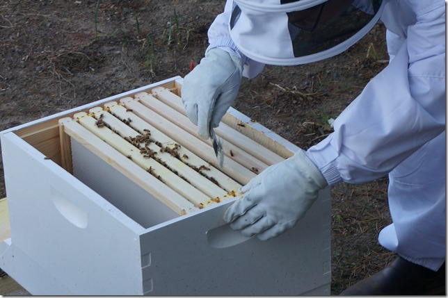 Cleaning-up-the-frames