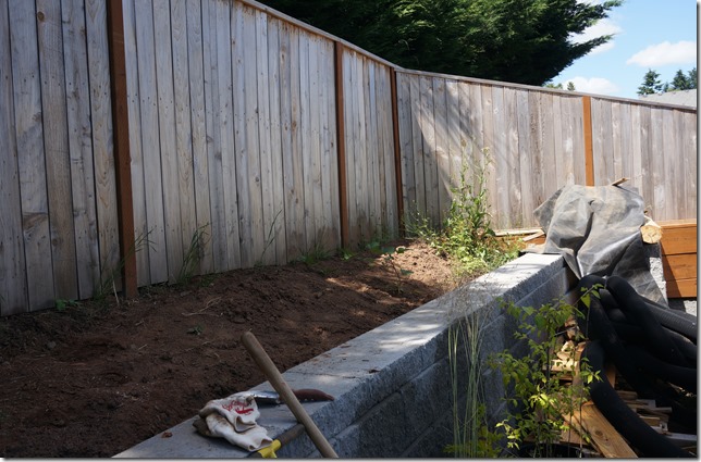 Back_Retaining_Wall_Before_1