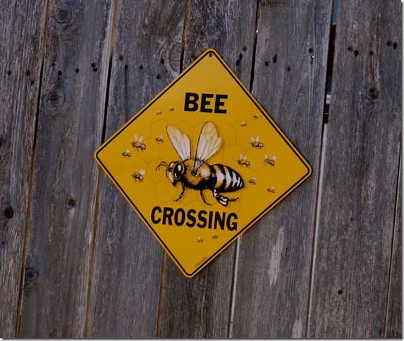 Bee_Crossing
