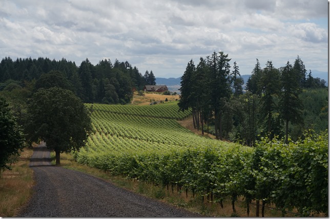 Gravel_Road_to_Winters_Hill