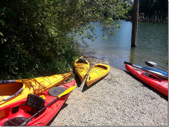 Kayak_Rentals