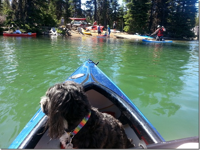 Mojo_at_Sparks_Lake_Boat_Ramp