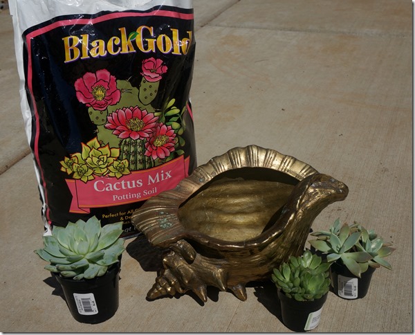Ready_to_Plant