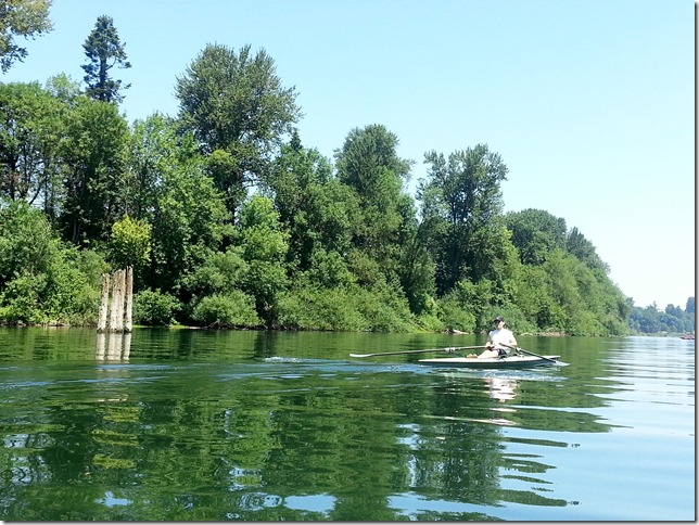 Rowing_Friends