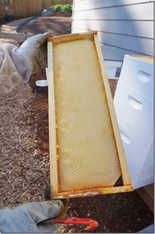 Clean_Honeycomb
