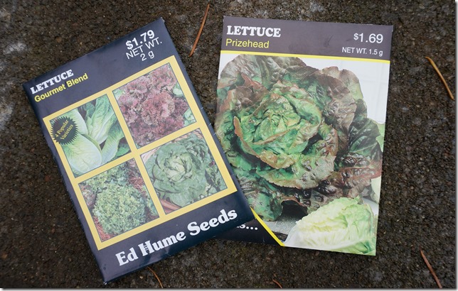 3_Lettuce_Seeds