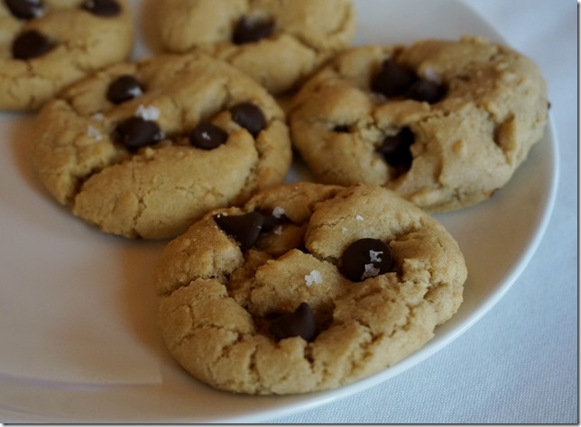 Olive_Oil_Cookies