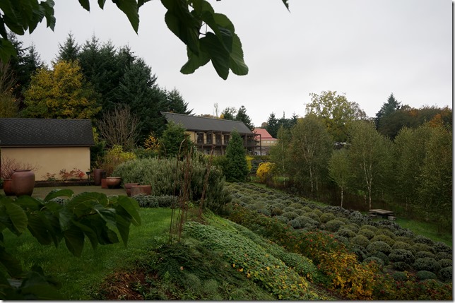 Oregon_Olive_Mill_Milling_Building