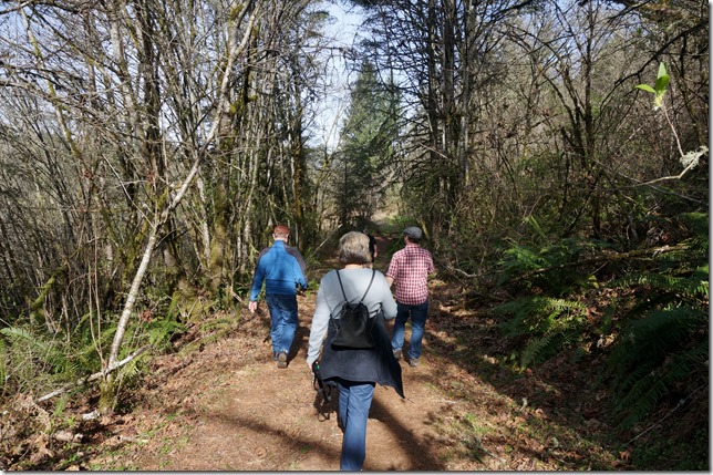 Walking_Harvey_Creek_Trail