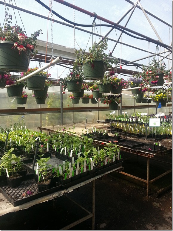 2015_Newberg_Plant_Sale