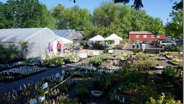 2016 Newberg HS Plant Sale